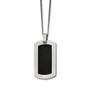 Titanium Polished w/Black Carbon Fiber Inlay 24in Necklace