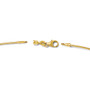 Leslie's 14K 1.2mm Detachable Clasp Omega Necklace