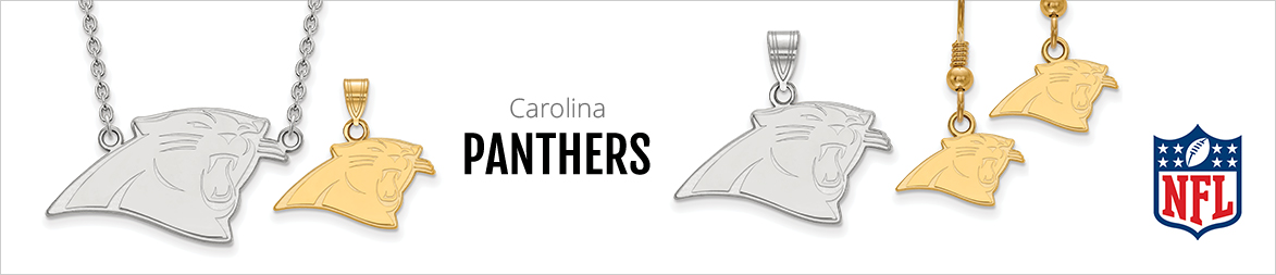 panthers-nfl-landing-header.jpg