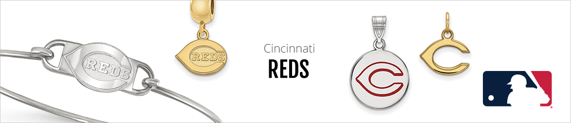 reds-landing-header.jpg