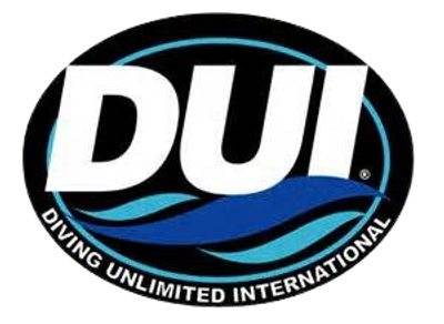 ​Brand Deep Dive: DUI