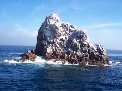 Catalina Island Diving - Ship Rock 