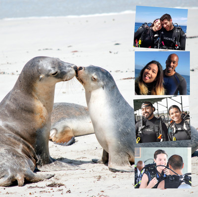 The Ultimate Valentine’s Day Gifts for Your Favorite Scuba Diver