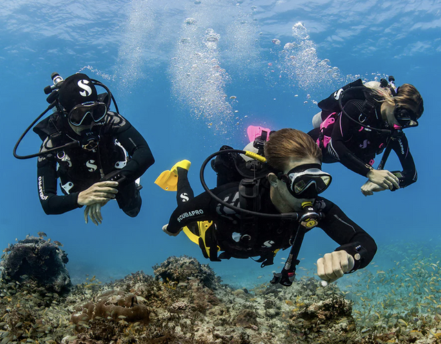 PADI Scuba Diver Certification - Done in One Weekend! Los