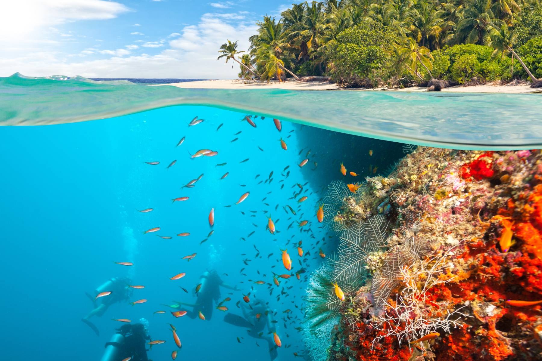 Dive into Costa Rica: Your November Adventure Awaits