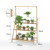 Plant stand rack measurements Product Dimension: 100cm front x 40cm side x 145cm high.