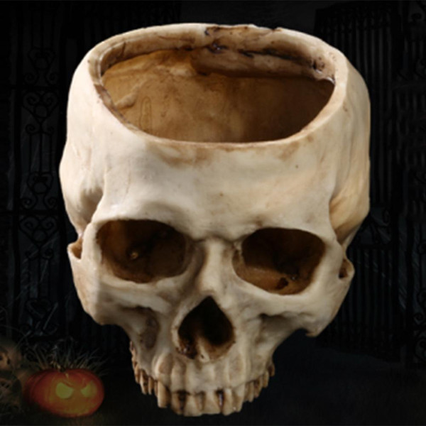 Human Skull Planter Pot Garden Décor Flower Succulent Pot front view-image-3