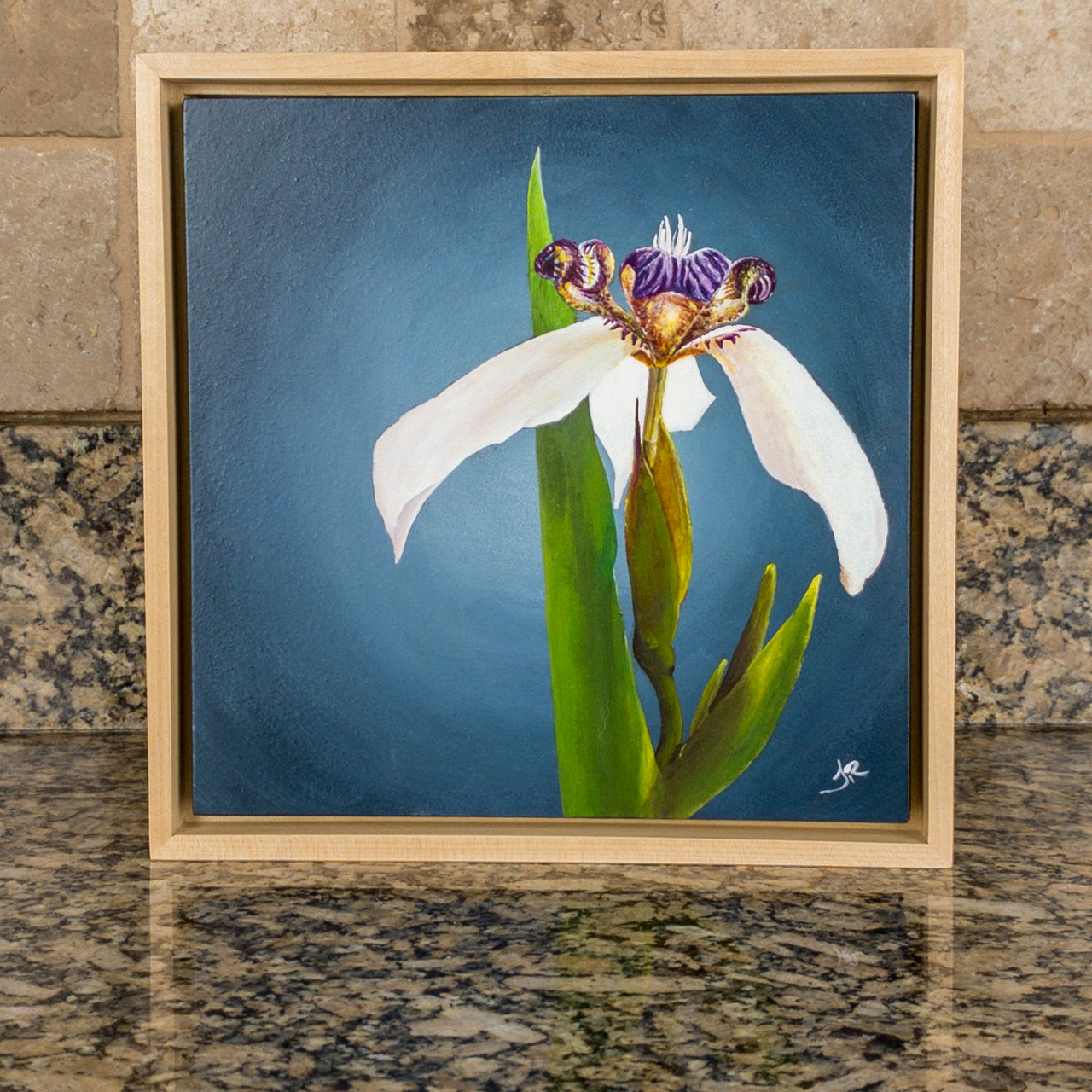 Original Art | Walking Iris | Julia Redman Art