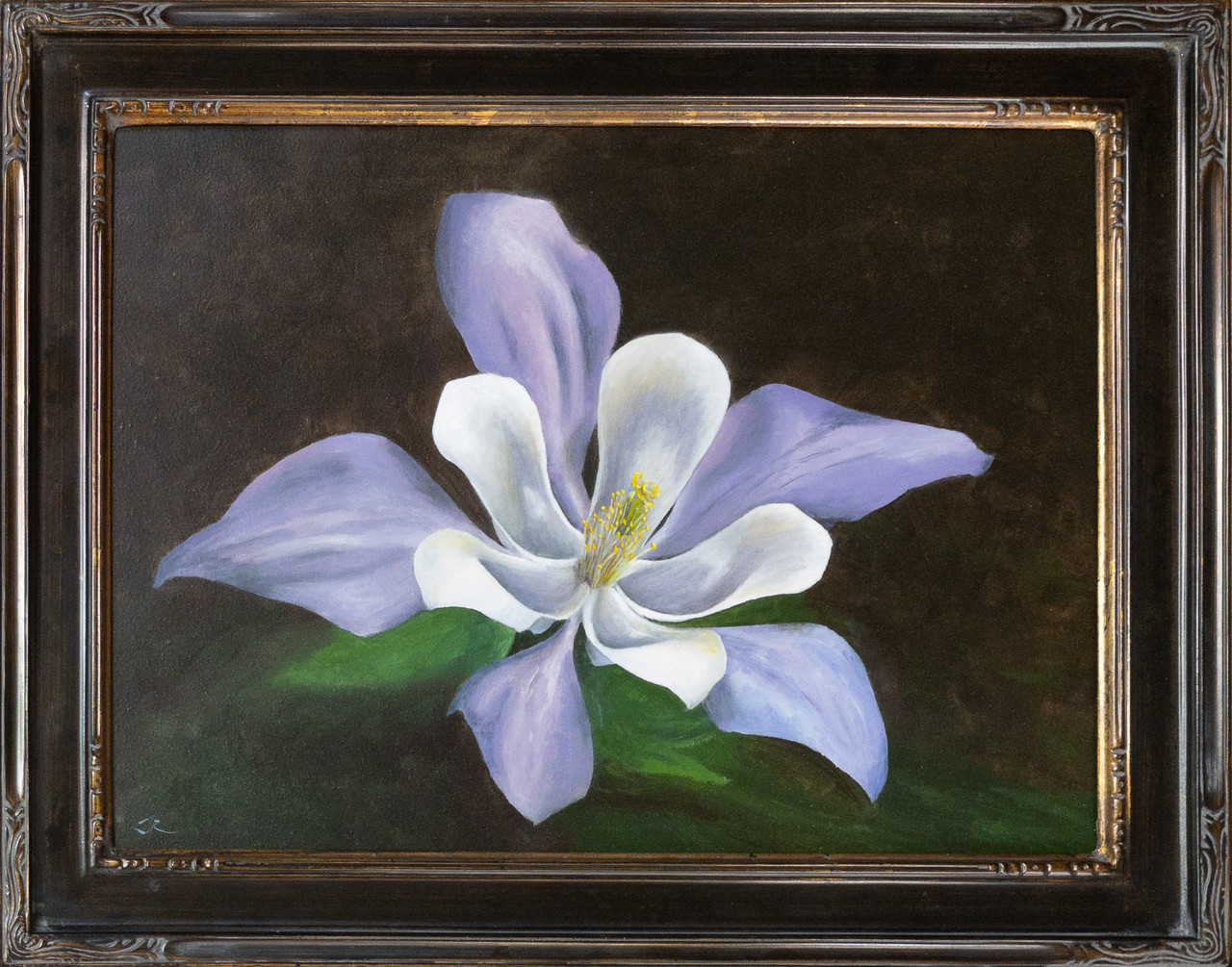 Original Art | Colorado Blue Columbine | Julia Redman Art