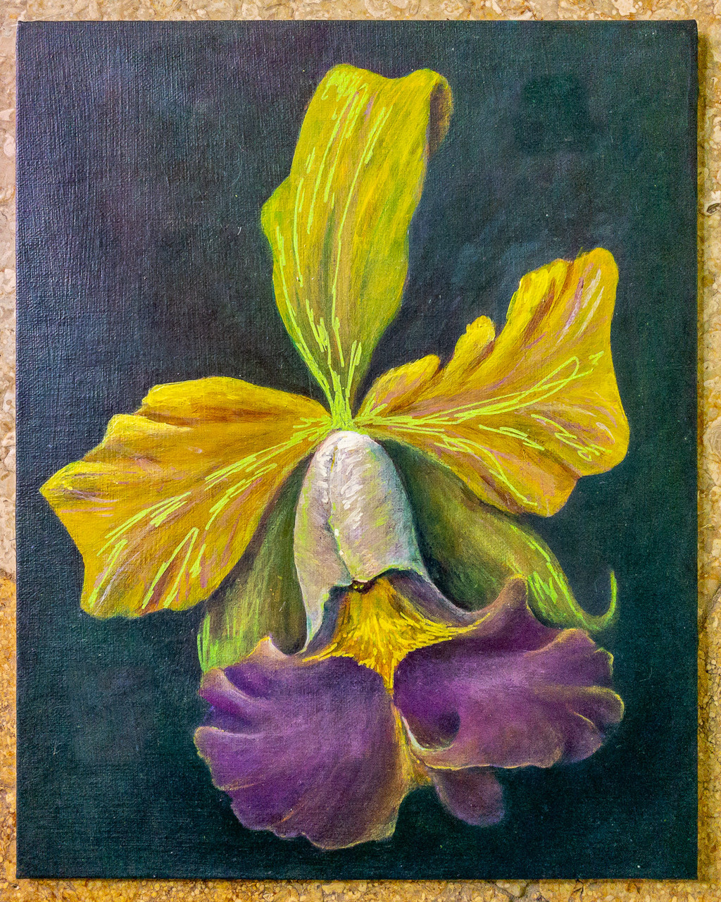 Original Art | Orchids are Like Tribbles | Julia Redman Art