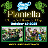 Upcoming Show: Plantella Oct 19 2025