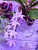 Example flower photo