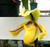 Example flower