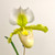 Example flower photo