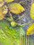 detail views to highlight different aspects of color and texture