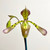Example flower photo, Paphiopedilum haynaldianum