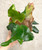 Platycerium andinum x quadridichotomum plants for sale
