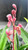 Cymbidium ensifolium Hong Cao Hong He 紅草紅荷 example flower photo