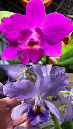 5D8390CA-2C52-465B-98C7-