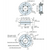 High Rigidity Swivel Torque Hingte (Offset Load Type)  - HG-S50-HR50 - 1