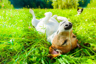 Chill, It's National Relaxation Day! Chill, It's National Relaxation Day!