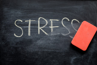 Stop The Stress (PT.3): A Physical Fight Stop The Stress (PT.3): A Physical Fight