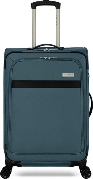 25" Spinner front view, Teal