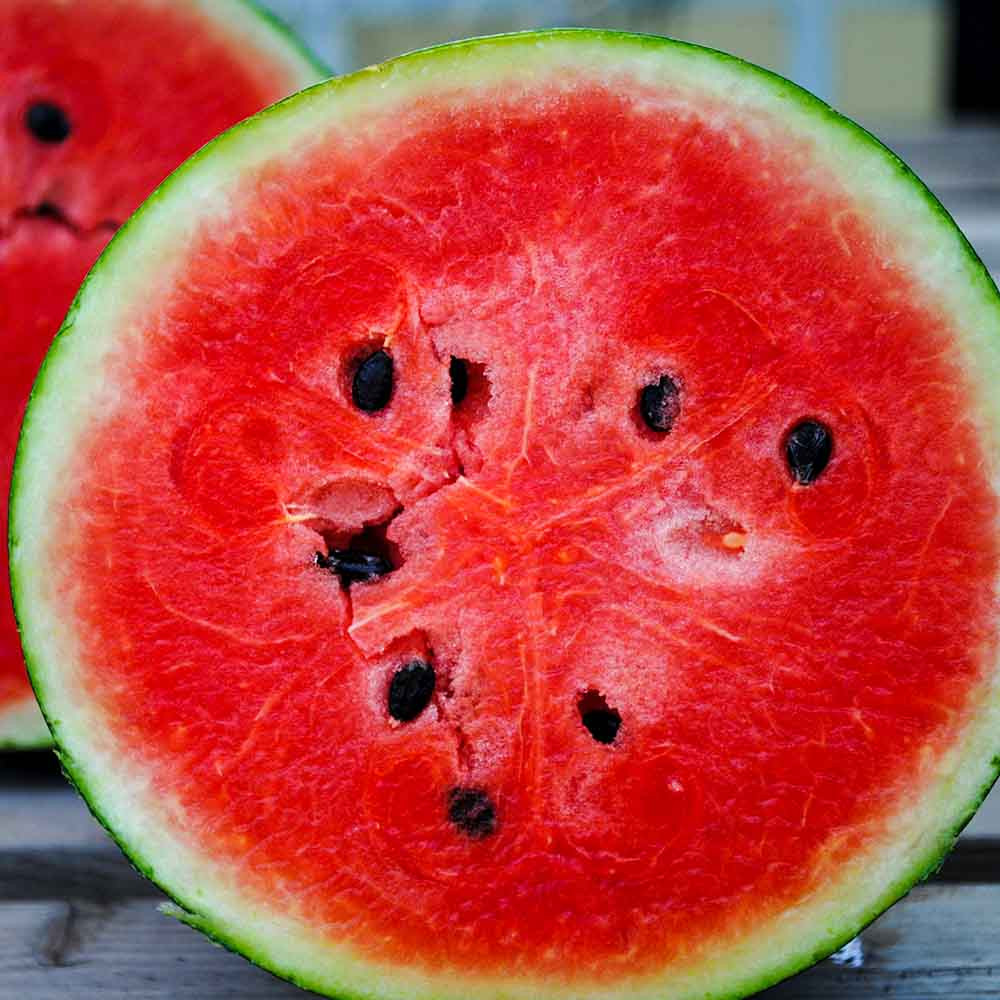 Sliced Early Crimson Treat Watermelon - (Citrullus lanatus)