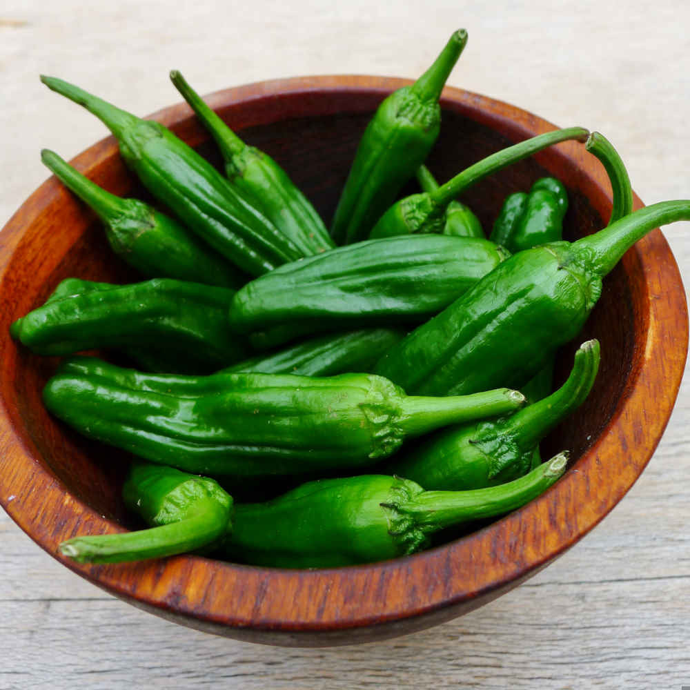 Shishito Peppers in a Bowl