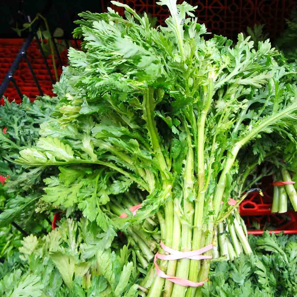 Edible Chrysanthemum Heirloom Seeds Terroir Seeds