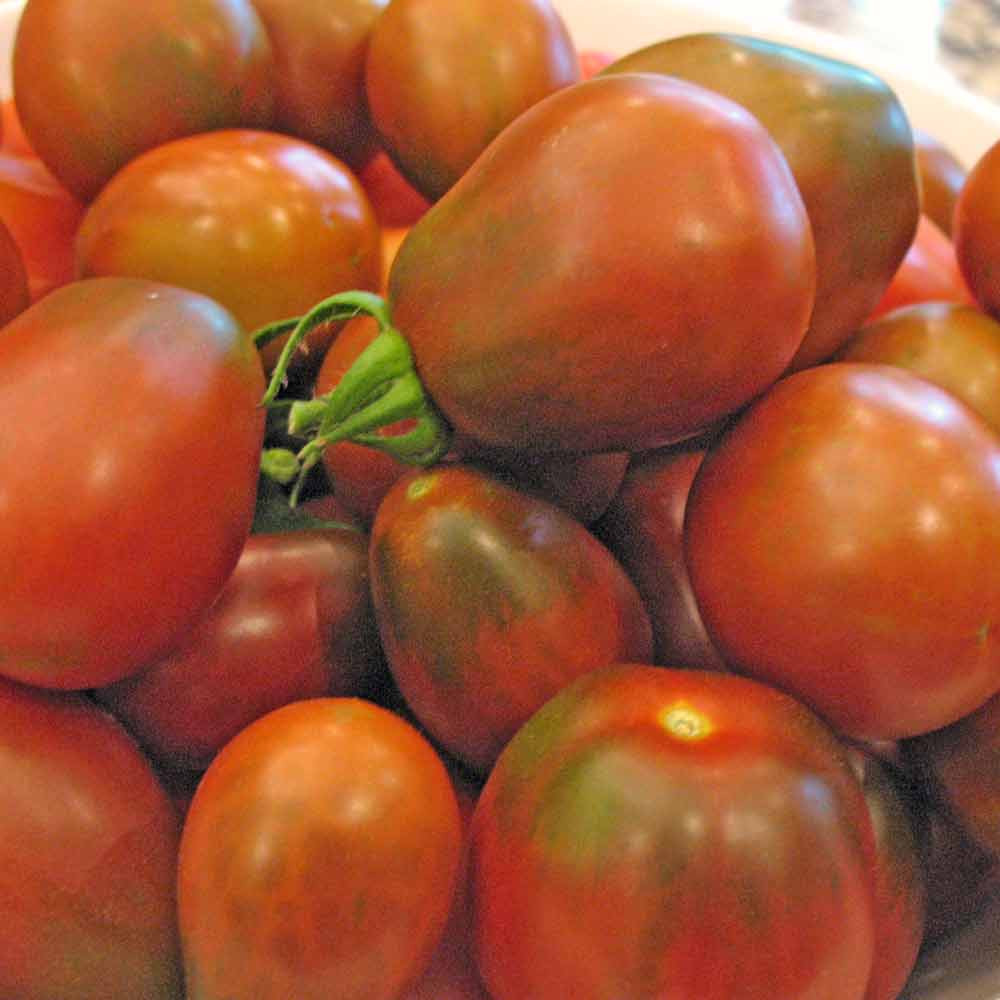 Black Plum Tomato Seeds - (Lycopersicon lycopersicum)