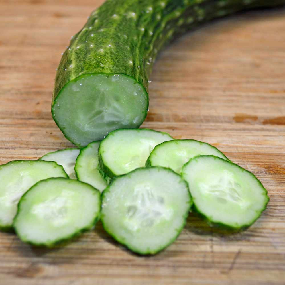 Underwood Gardens Suyo Long Cucumber Seeds