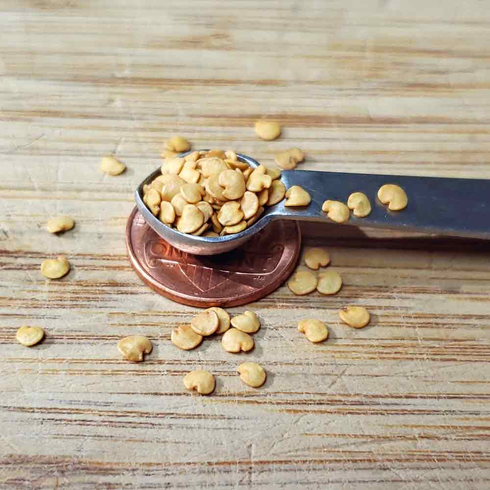 Long Purple Italian Eggplant Seeds Terroir Seeds