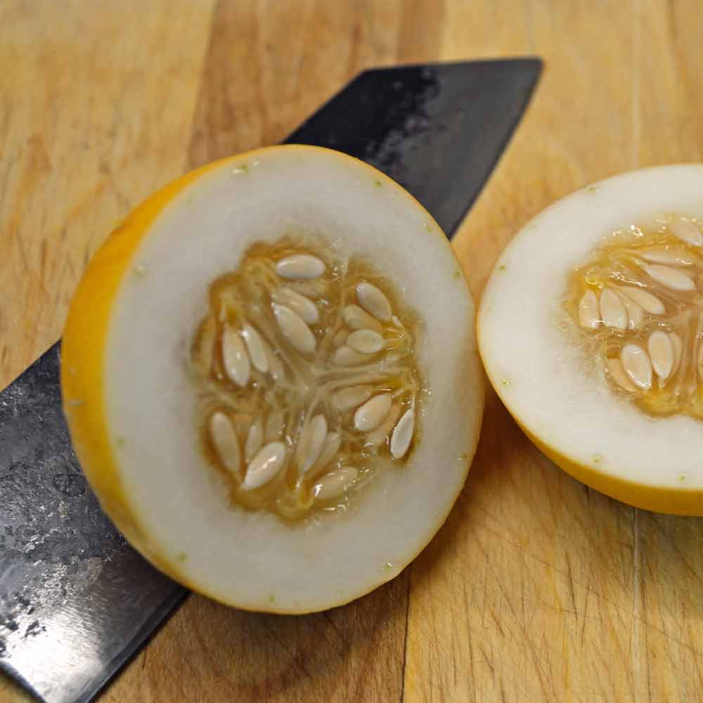 Sliced Vine Peach / Mango Melon fruit - (Cucumis melo var.chito)