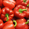 California Wonder Red Sweet Pepper Seeds - (Capsicum annuum)