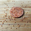 Love-Lies-Bleeding Heirloom Amaranth Seeds - (Amaranthus caudatus)