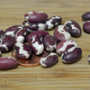 Anasazi Heirloom Bush Bean Seeds - (Phaseolus vulgaris)