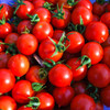 Freshly Picked Principe Borghese Tomatoes - (Lycopersicon lycopersicum)