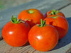 Burbank Red Slicing Tomatoes - (Lycopersicon lycopersicum)