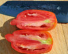 Sliced Speckled Roman Tomatoes