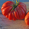 Zapotec Ribbed Tomato - (Lycopersicon lycopersicum)