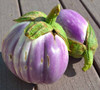 Rosa Bianca Eggplant fruits - (Solanum melongena var. esculentum)