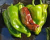 Ripe Pepperoncini Peppers - (Capsicum annuum)