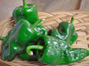 Poblano/Ancho Fruit - (Capsicum annuum)