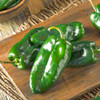 Poblano/Ancho Fruit - (Capsicum annuum)