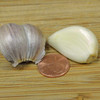 Organic Amish Garlic Cloves - (Allium sativum)