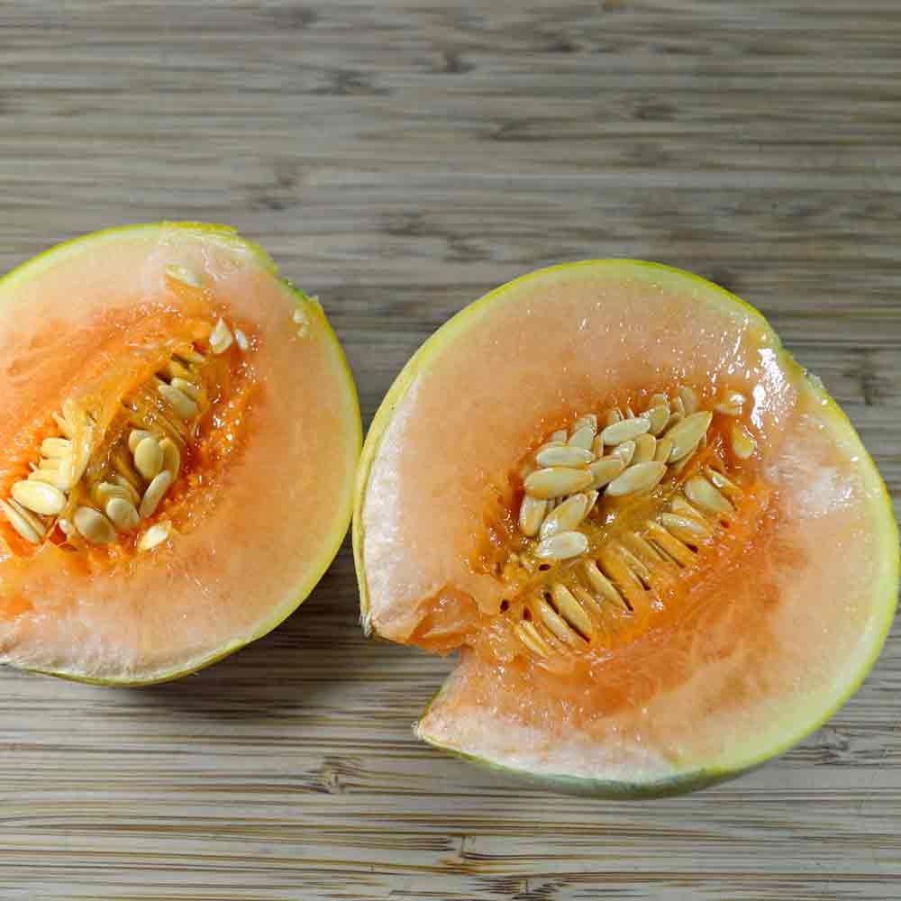 Charentais Heirloom Melon Seeds | Terroir Seeds