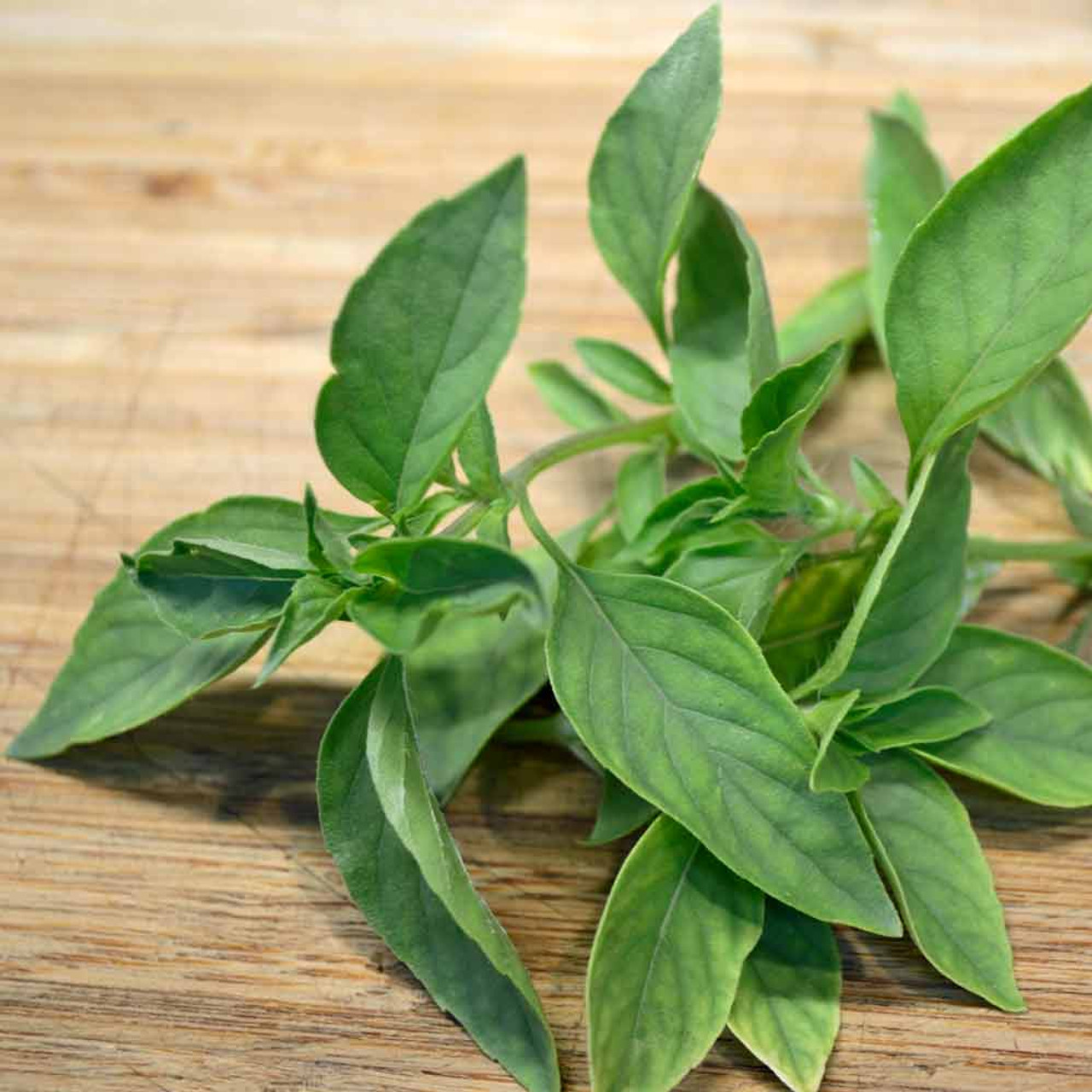 Lime Basil Seeds Ocimum americanum