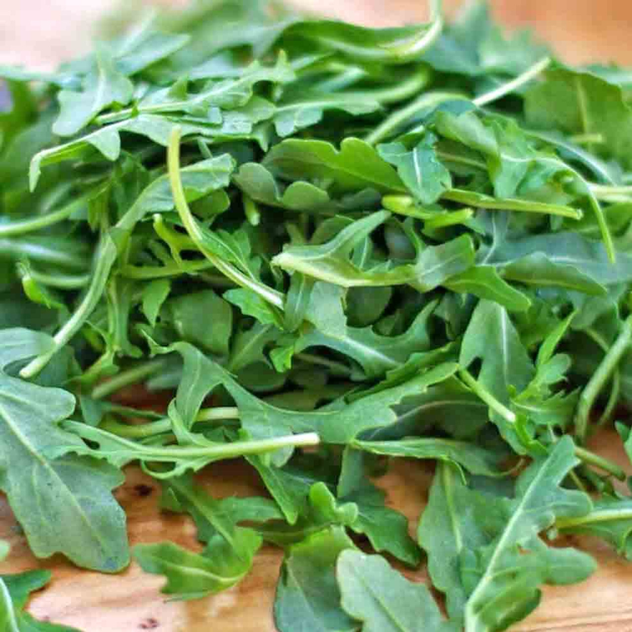 Organic Arugula Roquette Herb Seeds for Sale