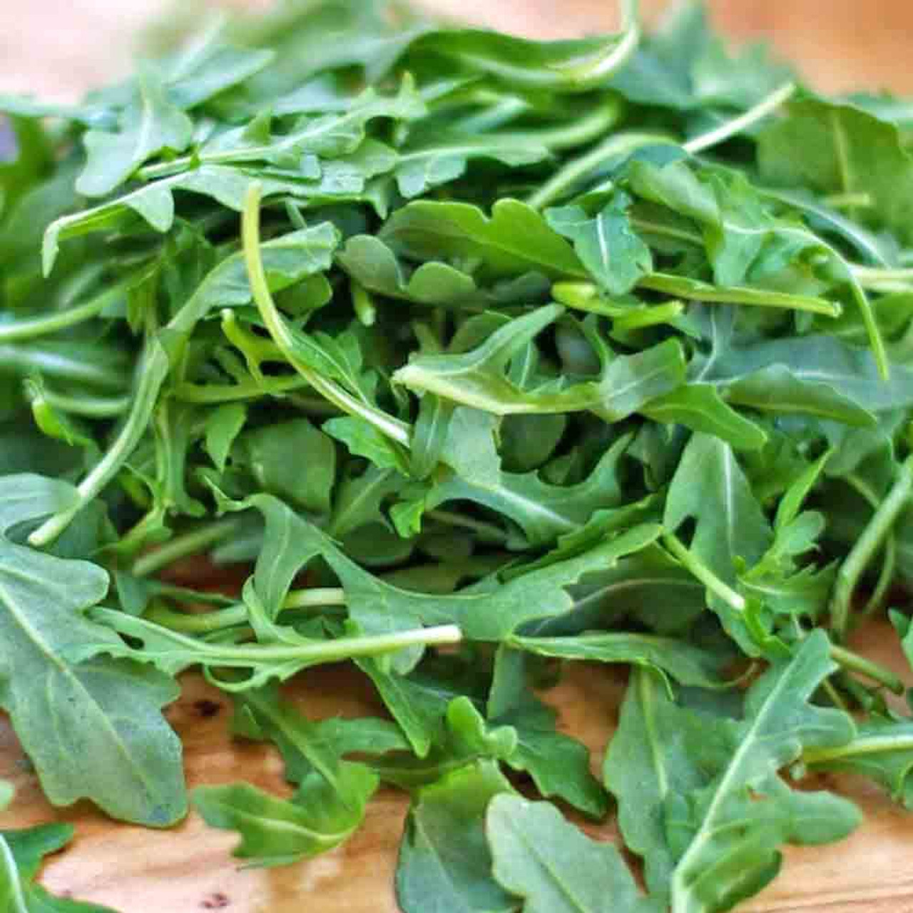 Heirloom Roquette Arugula Seeds – Ferry-Morse